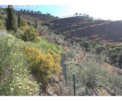 terreno en Venta en Cómpeta