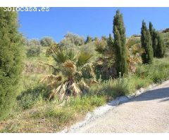 terreno en Venta en Cómpeta