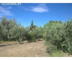 terreno en Venta en Canillas de Aceituno