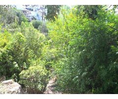 terreno en Venta en Canillas de Aceituno