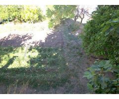 terreno en Venta en Canillas de Aceituno