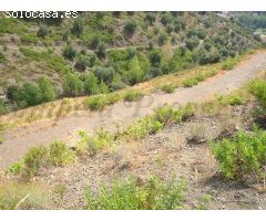 terreno en Venta en Archez