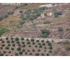 terreno en Venta en Sayalonga