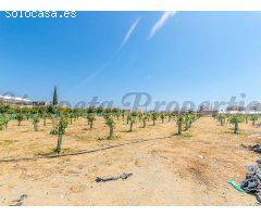 terreno en Venta en Algarrobo