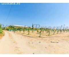 terreno en Venta en Algarrobo