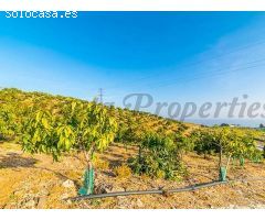 terreno en Venta en Benajarafe