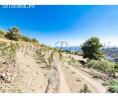 terreno en Venta en Torrox