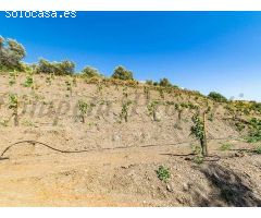 terreno en Venta en Torrox