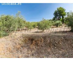 terreno en Venta en Canillas de Albaida