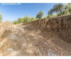 terreno en Venta en Canillas de Albaida