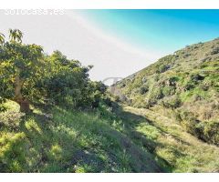 terreno en Venta en Torrox