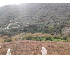 terreno en Venta en Torrox