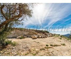 terreno en Venta en Canillas de Albaida