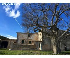 Gran finca historica, antiguo viñedo con mucho terreno en Algaida
