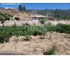 ? ? Finca en venta, Arico, Tenerife, 110.000 € ?