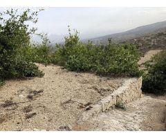 granja en Venta en Tenerife