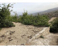 granja en Venta en Tenerife