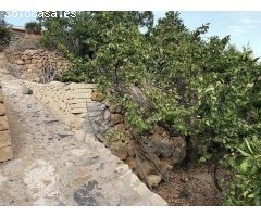 granja en Venta en Tenerife