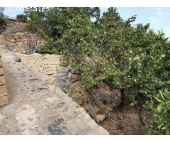 granja en Venta en Tenerife