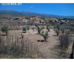 ? ? Finca en venta, Chimiche, Tenerife, 1.260.000 € ?