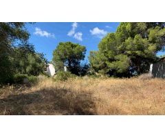 terreno en Venta en Palmanova