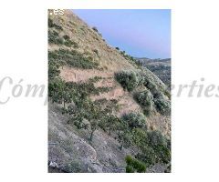 terreno en Venta en Frigiliana