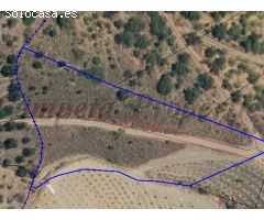 terreno en Venta en Sayalonga