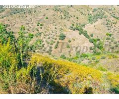 terreno en Venta en Sedella