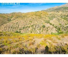 terreno en Venta en Sedella