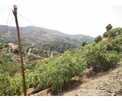 terreno en Venta en Torrox