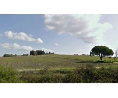 terreno en Venta en Chiclana De La Frontera