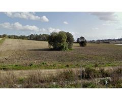 terreno en Venta en Chiclana De La Frontera