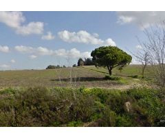 terreno en Venta en Chiclana De La Frontera