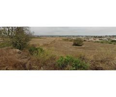 terreno en Venta en Chiclana De La Frontera