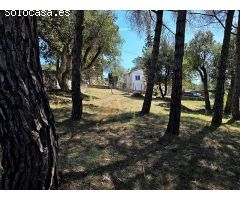 terreno en Venta en Calonge