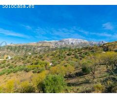 terreno en Venta en Sedella