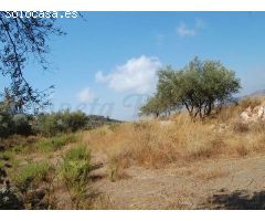 terreno en Venta en Cómpeta