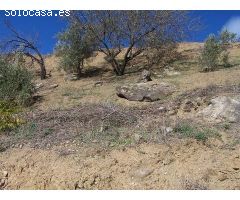 terreno en Venta en Archez