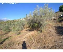 terreno en Venta en Cómpeta