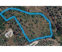 terreno en Venta en Cómpeta