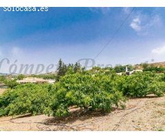 granja en Venta en Almayate