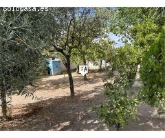 misceláneos en Venta en Rute