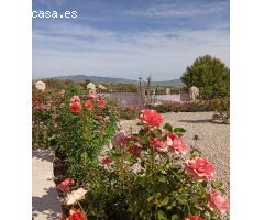 Chalet en Venta en Castrillo de Murcia, Murcia