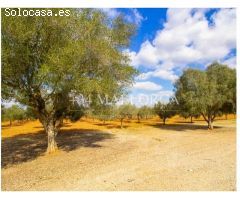 chalet en Venta en Santa Eugènia