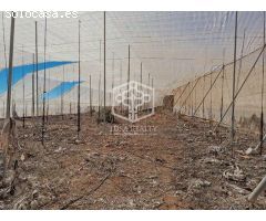 terreno en Venta en Guia De Isora