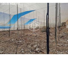 terreno en Venta en Guia De Isora
