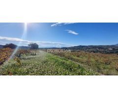 terreno en Venta en Teulada