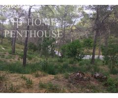 terreno en Venta en Sant Pere De Ribes