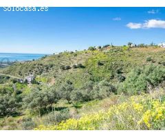 terreno en Venta en Sayalonga. RLJO-T6367
