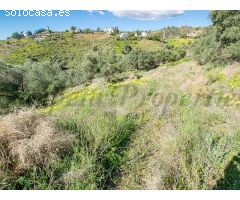 terreno en Venta en Sayalonga. RLJO-T6367